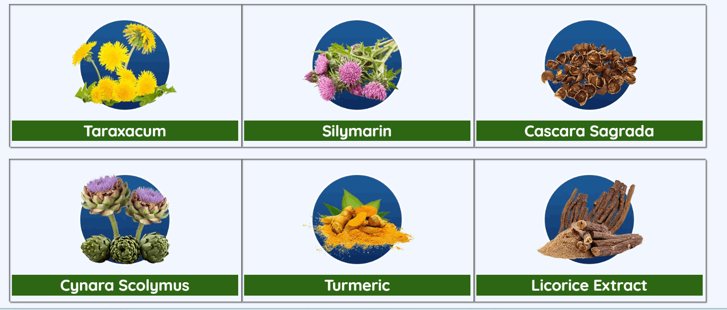 Woman feeling comfortable after digestion improvement with Finessa gut support